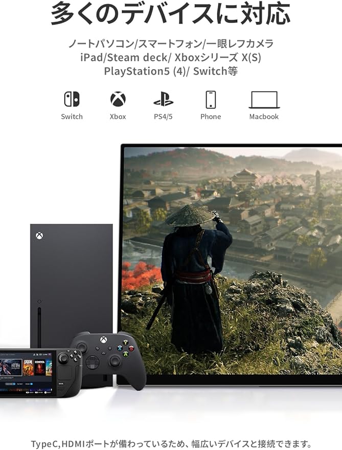 ハイエンドモデル】17.3インチ タッチペン対応 3840*2160 120Hz RQG-173PU