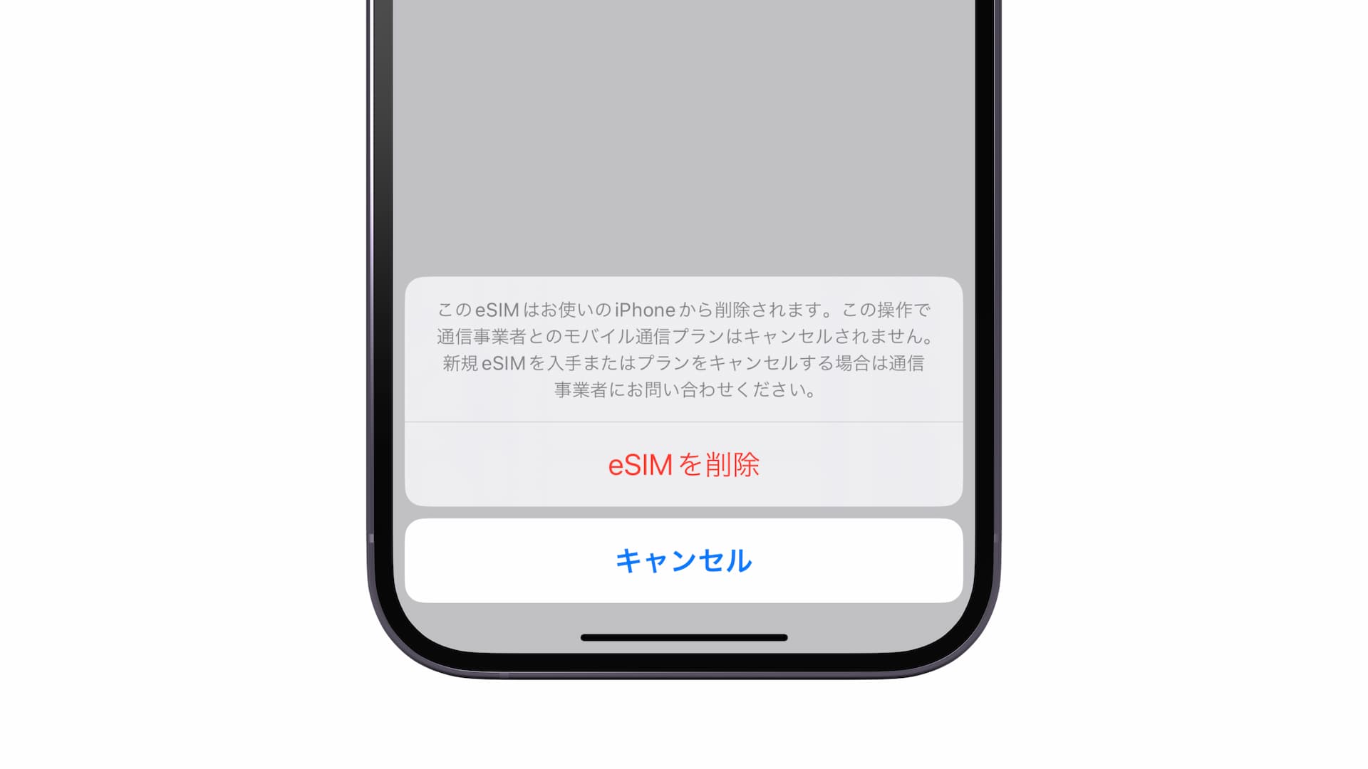 iPhoneから不要なeSIMを削除する方法