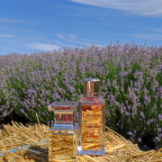 Lavandes Trianon Lancôme 香水- 一款2016年中性香水