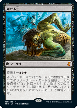 Foil】《霧深い雨林/Misty Rainforest》[EXP] 土地R | 日本最大級 MTG