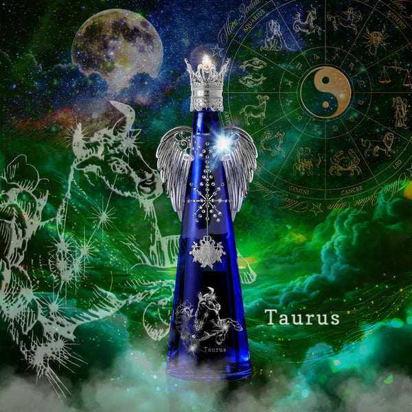 FILLICO ZODIAC SIGN 十二星座 – 