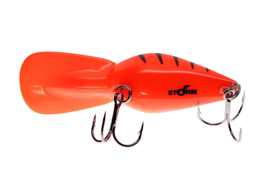 ディープ」なウイグル ワート登場、ストーム「オリジナル ディープ