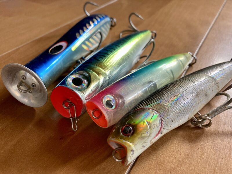 ショアキャスティング『ヒラマサ』トップウォータープラグで完全攻略