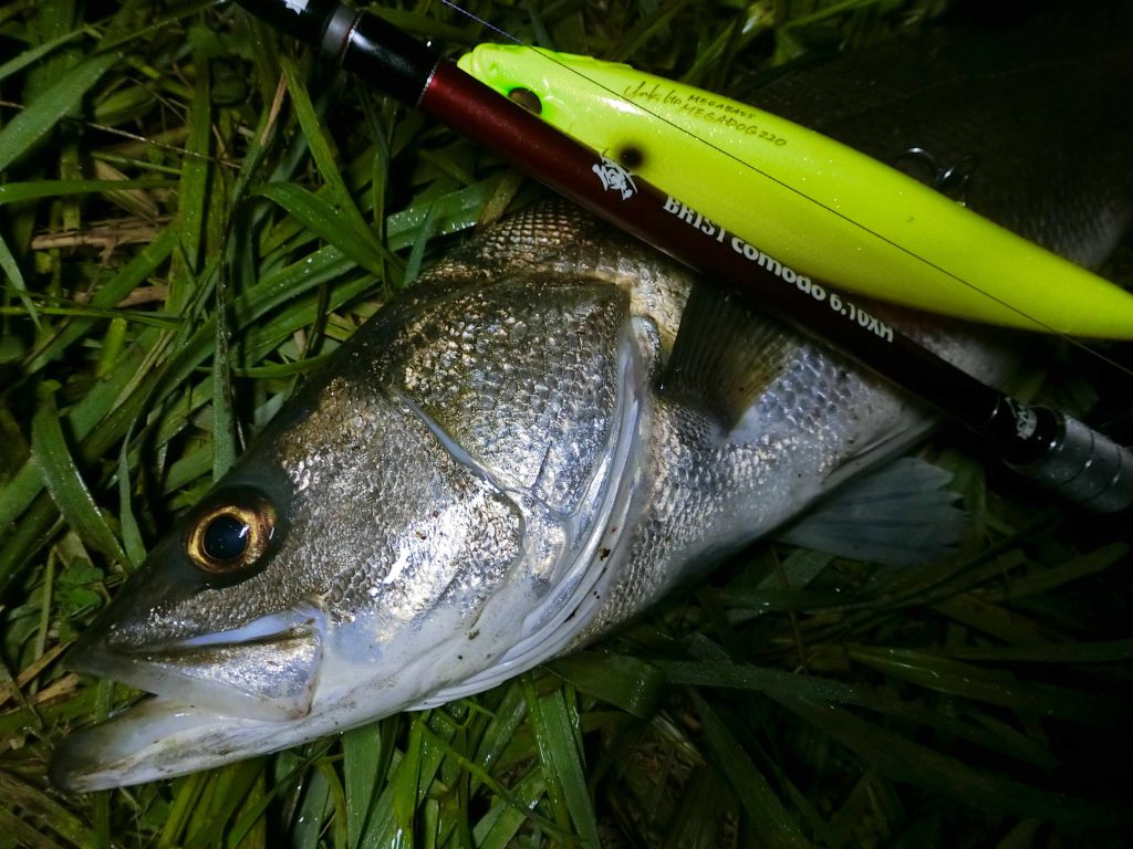 BRIST comodo6.10XHの潜在能力】超重量級トップウォータープラグで