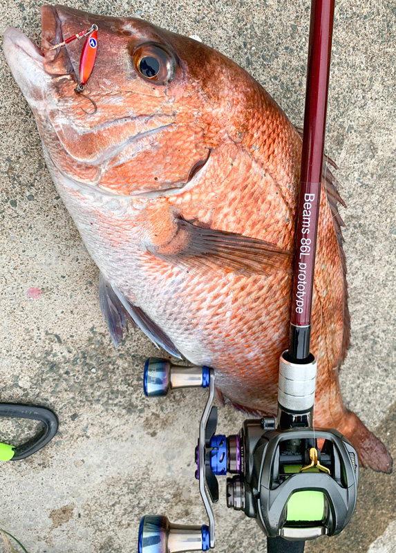 Beams LOWER8.6Lプロト」インプレ - Fishman（フィッシュマン）