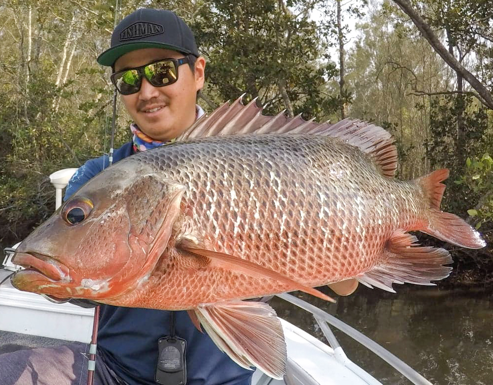 スキッピングで狙うマングローブジャック - Fishman（フィッシュマン）