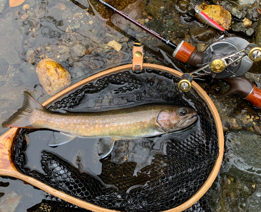 未知数の渓流ベイトに奮闘中！ - Fishman（フィッシュマン）