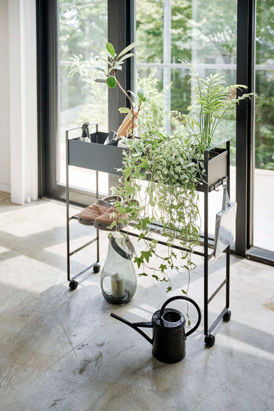 タワー キャスター付き玄関収納ラック ブラック | Francfranc（フラン