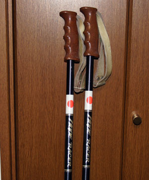 沼の森 スキー編